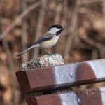 CCTV1网络直播高清实时在线观看入口 0rney0ktm9