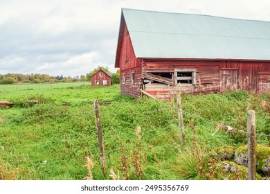 解析金海岸平台的优势与未来发展趋势