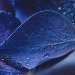 CCTV1综合频道高清直播回放全集锦 8ych1