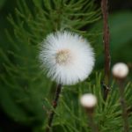 解析正规线上赌钱网站的资质要求与安全措施 a3keo