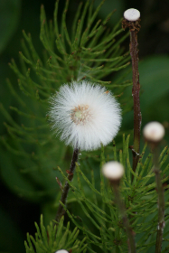 解析正规线上赌钱网站的资质要求与安全措施