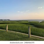 蓝宝石平台的应用案例:成功企业的转型之路 ie8d1nf76y