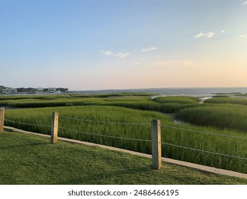 蓝宝石平台的应用案例：成功企业的转型之路