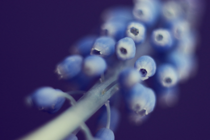 解读星投体育平台的商业模式与生态闭环构建