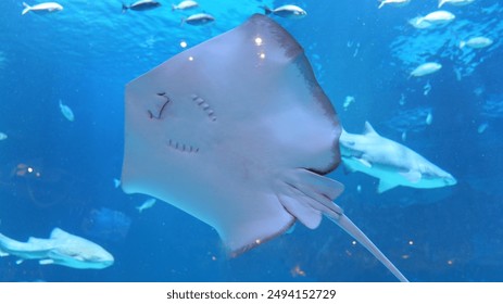 豪杰国际娱乐：探索全球顶尖娱乐场所的魅力与乐趣