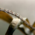 《新闻联播》官方网络直播平台正式上线 hse16e7ji