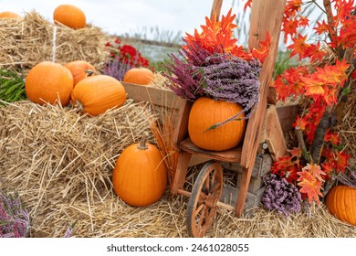 《我的前半生》第29集北京卫视独家直播在线观看